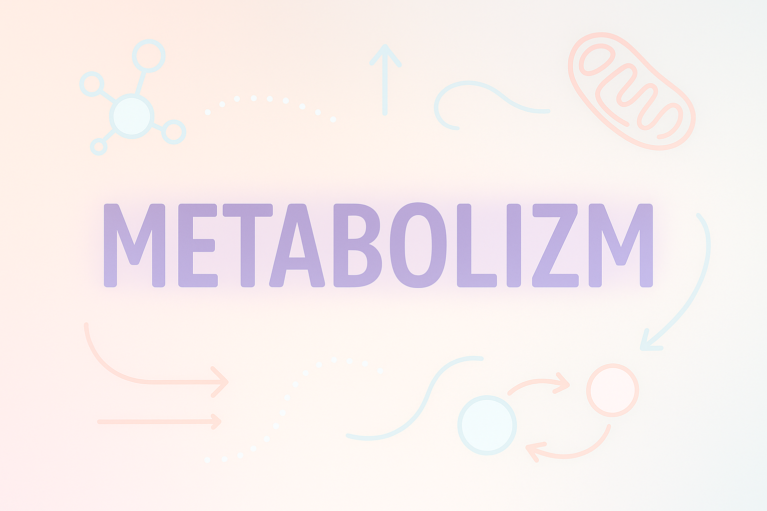 Lekcja: Metabolizm